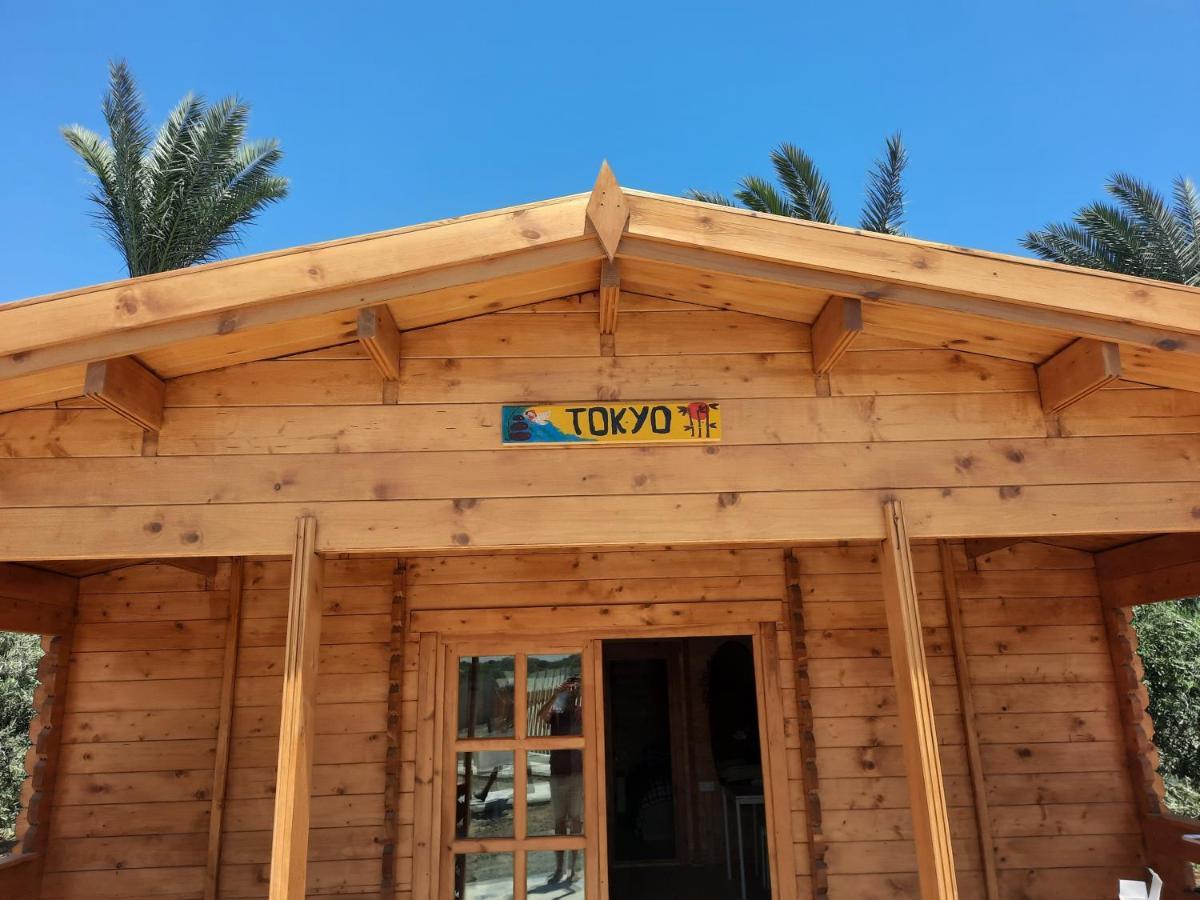 Cyprus Glamping Park Hotel Agios Theodoros Екстериор снимка