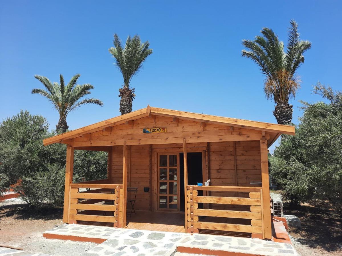 Cyprus Glamping Park Hotel Agios Theodoros Екстериор снимка