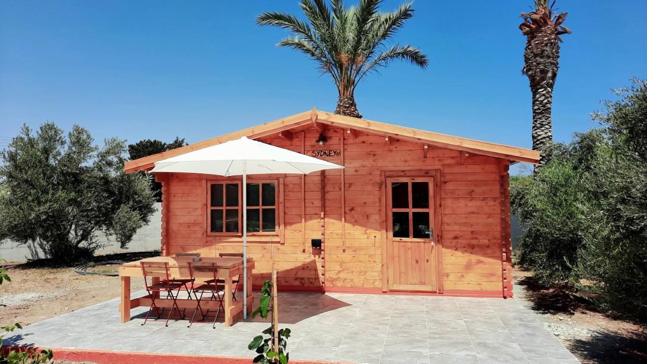 Cyprus Glamping Park Hotel Agios Theodoros Екстериор снимка