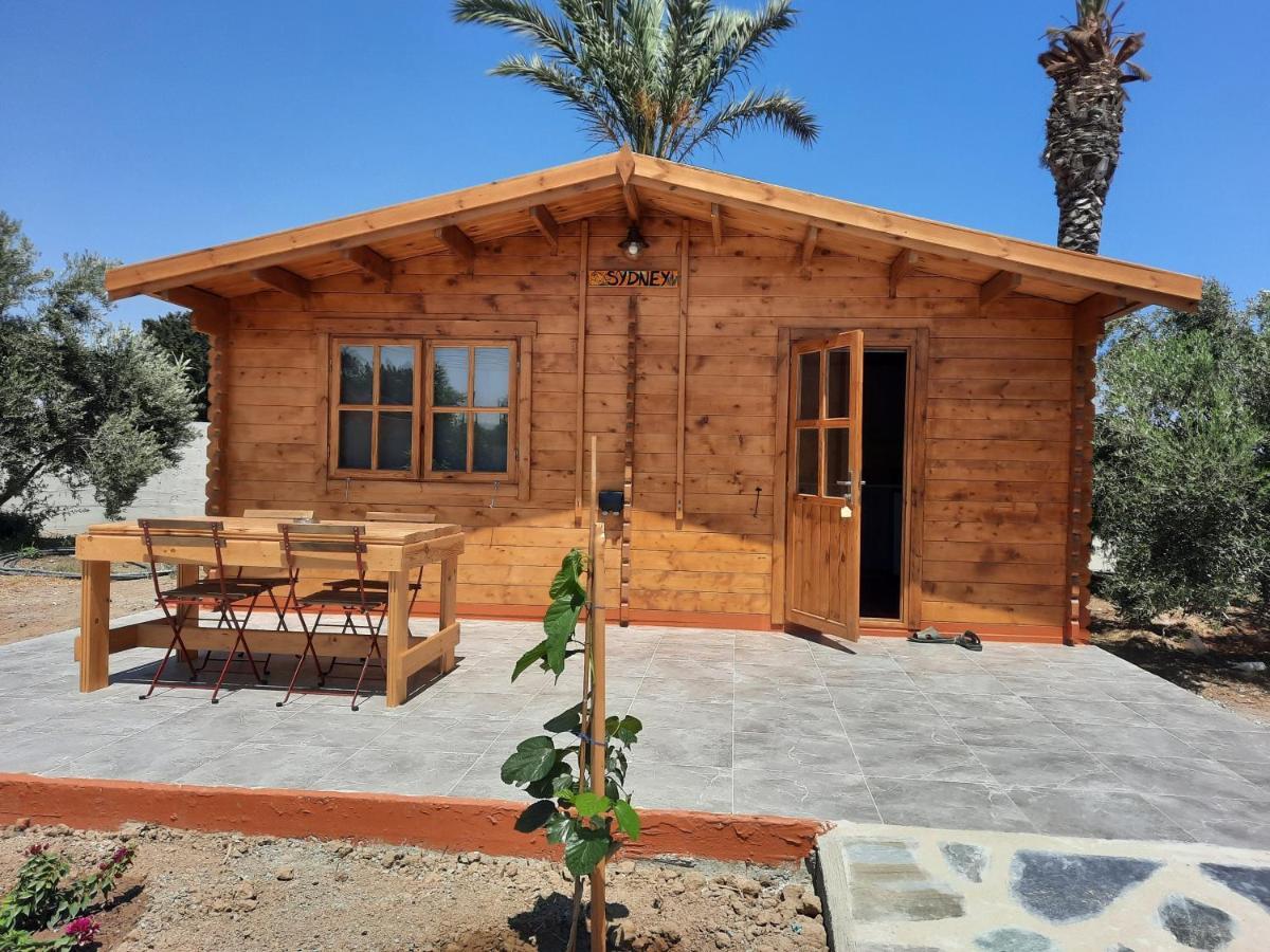 Cyprus Glamping Park Hotel Agios Theodoros Екстериор снимка